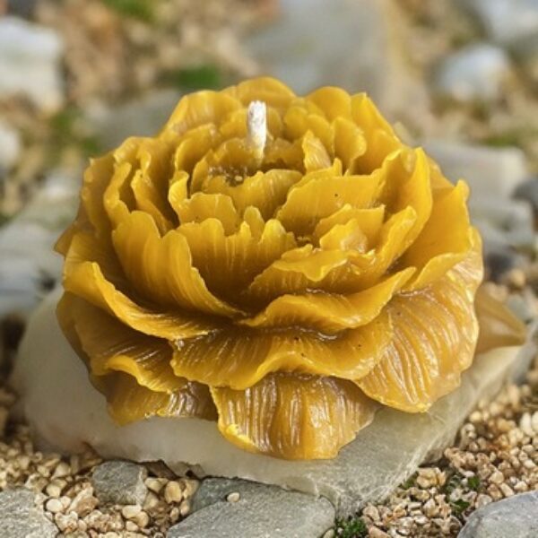 Flower Peonies Beeswax Candle