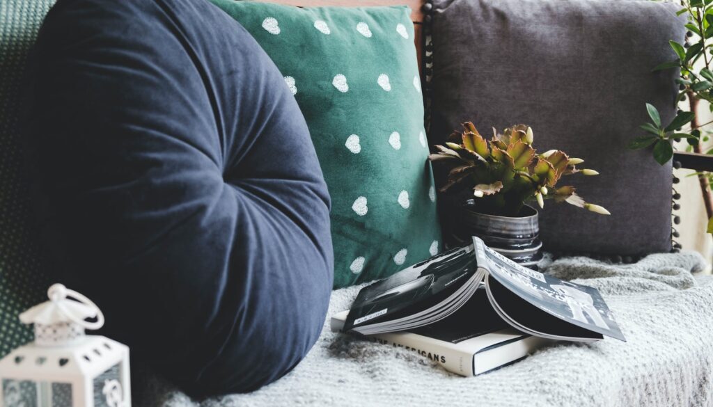 throw pillows beside books