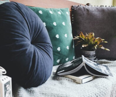 throw pillows beside books