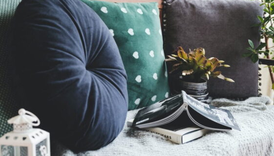 throw pillows beside books